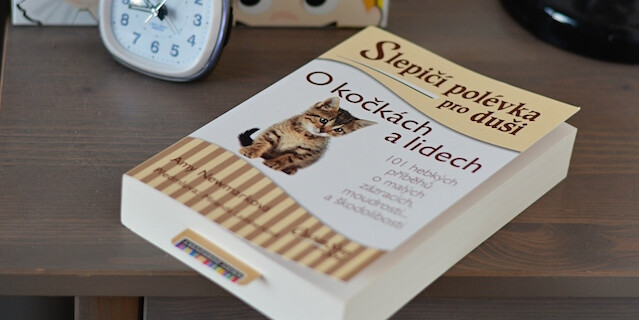 Fenomén Slepičí polévka pro duši - titulní obrázek
