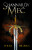Shannarův meč - Terry Brooks