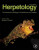Herpetology - Vitt Laurie J.,Janalee P.  Caldwell