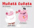 Huňatá čuňata - Jiří Dědeček,Aneta Žabková