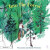 Into the Forest - Pia Jones,Sarah Pimenta