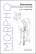 Morpho, Mammals - Michel Lauricella