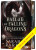 Padlý měsíc 2: Balada o padajících dracích - Sarah A. Parker