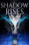The Shadow Rises - Maelan Holladay