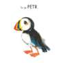 Papuchalk Petr 2