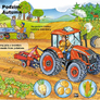 Traktor jede na pole 4