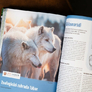 10 Velká kniha o zoo