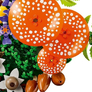 12 LEGO® Botanicals 11505 Lesní houby