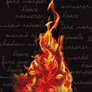 Fire Study