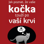 Jak poznat, že vaše kočka touží po vaší krvi