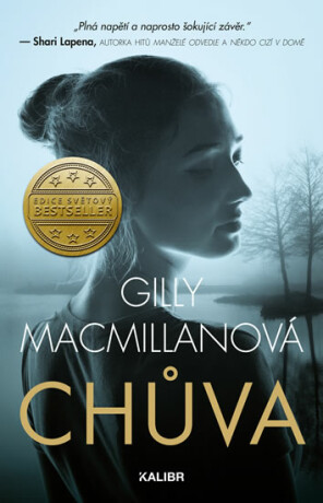 Chůva - Gilly Macmillanová