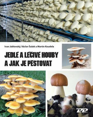 Jedlé a léčivé houby a jak je pěstovat - Ivan Jablonský,Václav Šašek,Martin Koudela