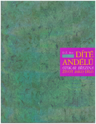 Dítě andělů - D. Ž. Bor