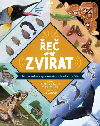 Řeč zvířat - Michael Leach,Meriel Lland