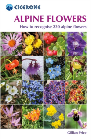 Alpine Flowers - Gillian Price
