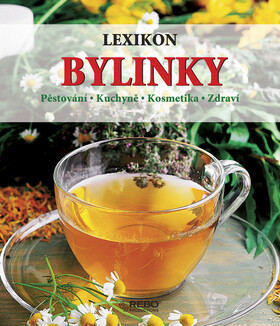 Bylinky - Andrea Rausch,Brigitte Lotz