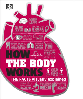 How the Body Works - DK