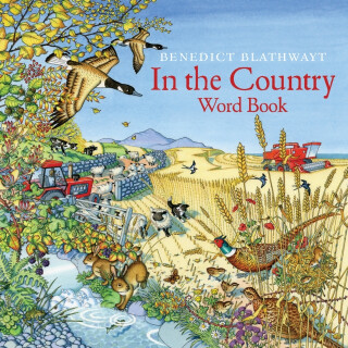 In the Country - Benedict Blathwayt