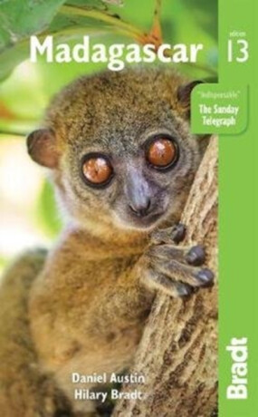 Madagascar - Hilary Bradt,Daniel Austin