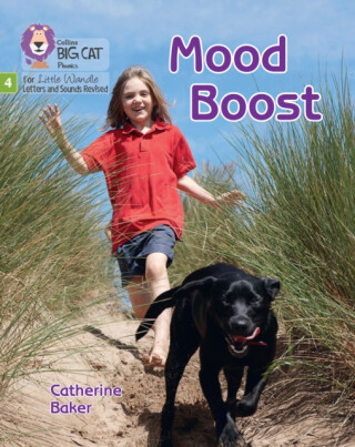 Mood Boost - Catherine Baker