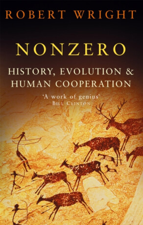 Nonzero - Robert Wright