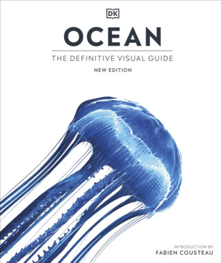 Ocean - DK