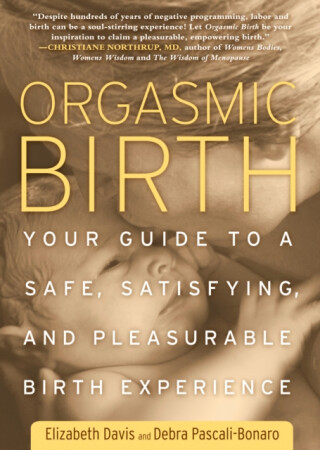 Orgasmic Birth - Elizabeth Davis,Debra Pascali-Bonaro