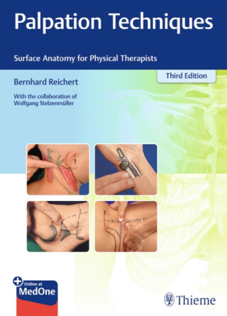 Palpation Techniques - Reichert Bernhard,Wolfgang StelzenmÃ¼ller