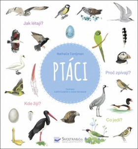 Ptáci - Natalie Tordjman,Judith Gueyfier,Julien Norwood