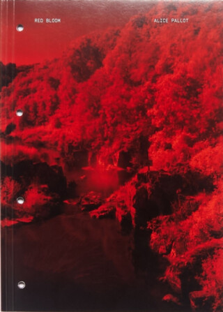 Red Bloom - Alice Pallot