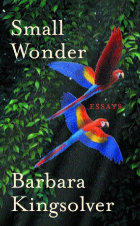 Small Wonder - Barbara Kingsolverová