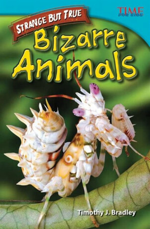 Strange but True: Bizarre Animals - Timothy Bradley,Timothy J. Bradley