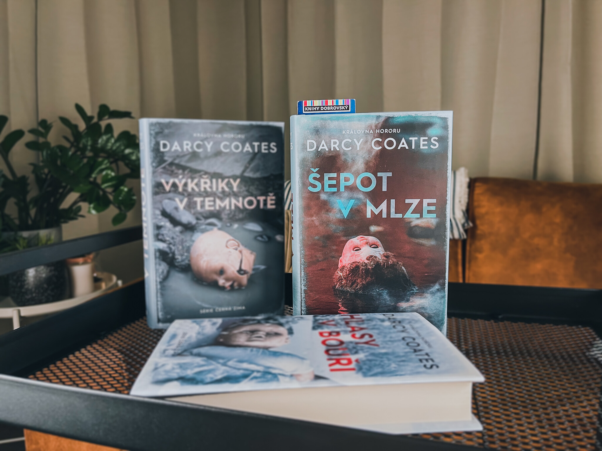 Šepot v mlze-recenze